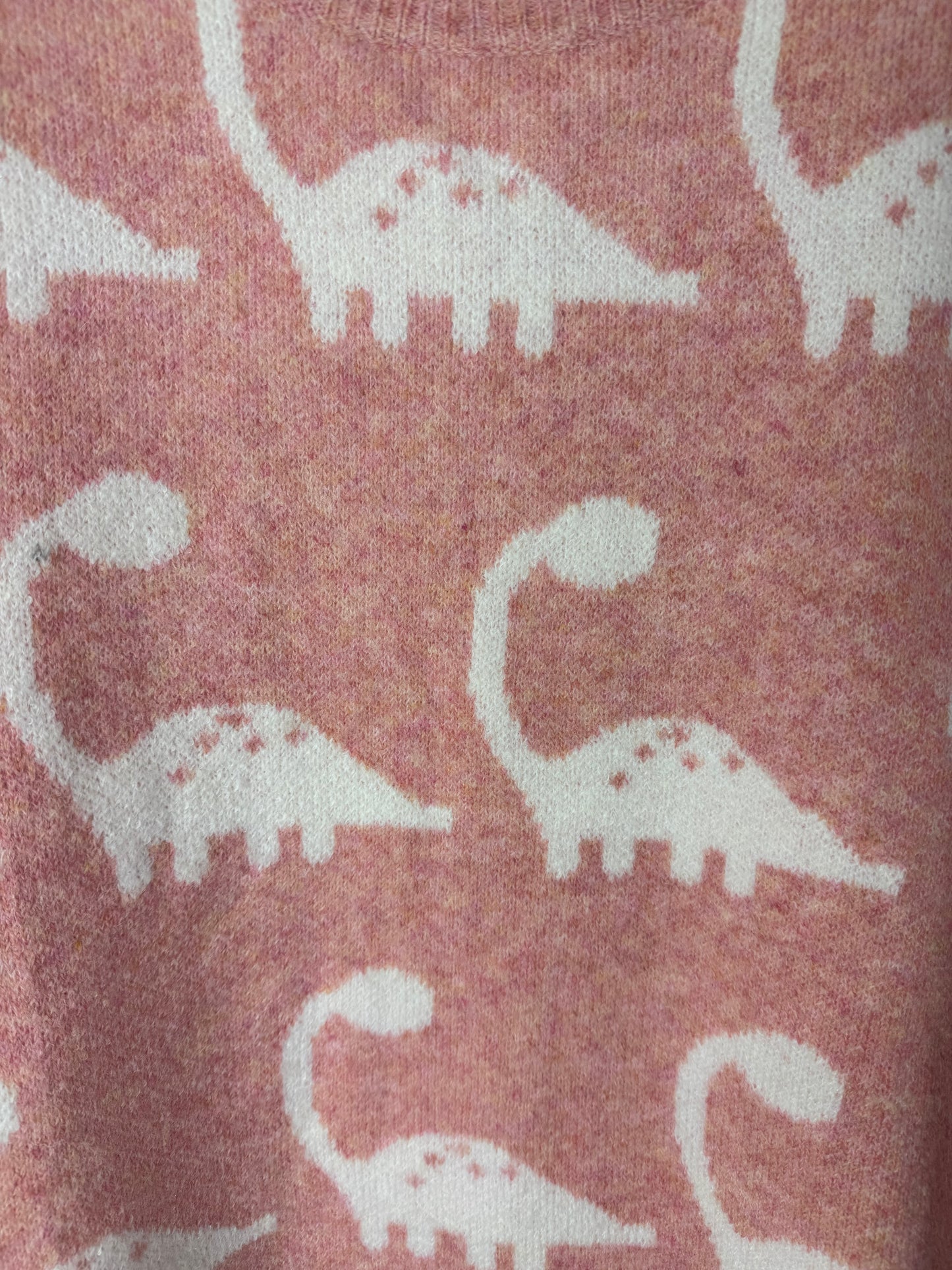 Dino Darling Blush Knit Sweater