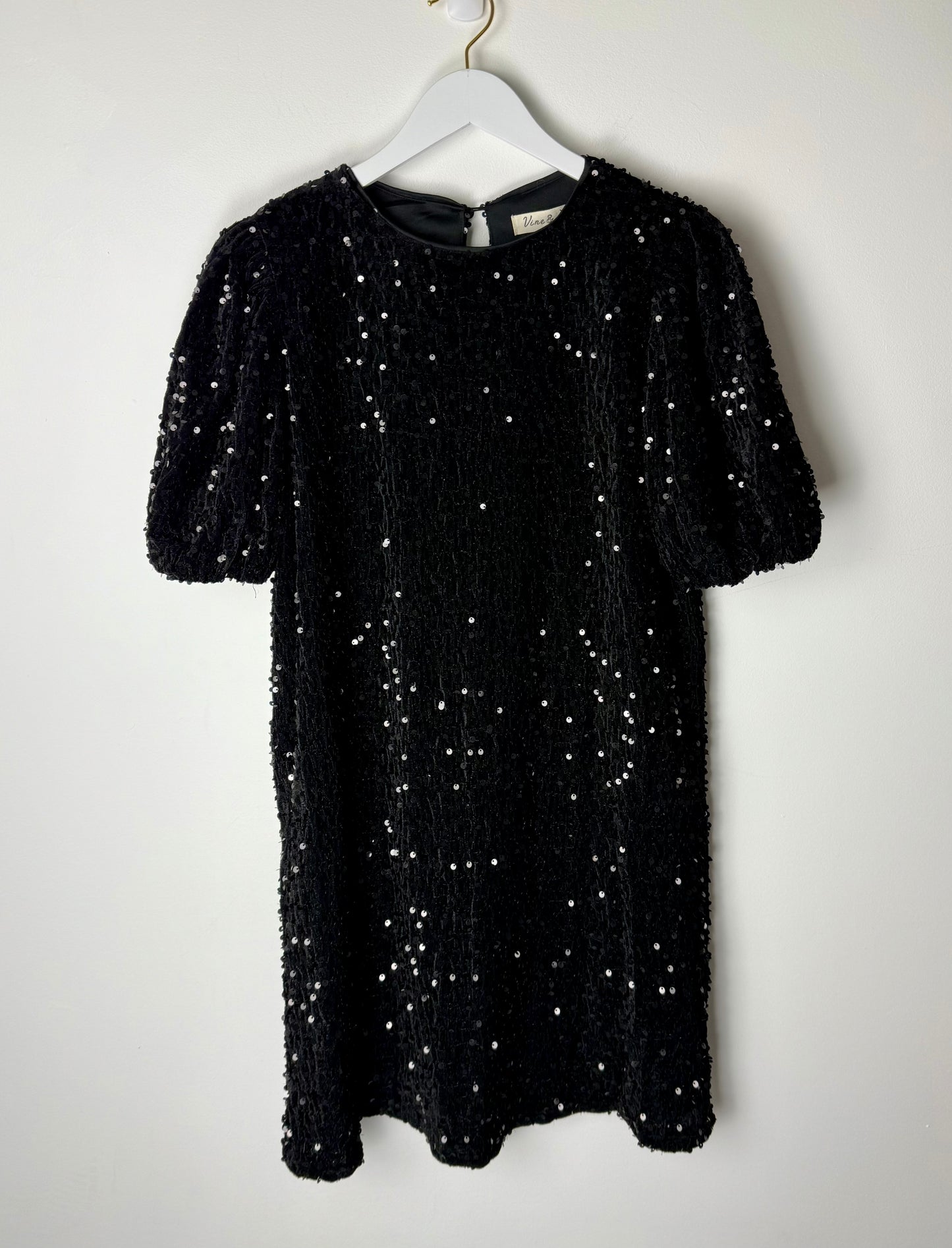 The Midnight Muse-Black Velvet Sequin Dress